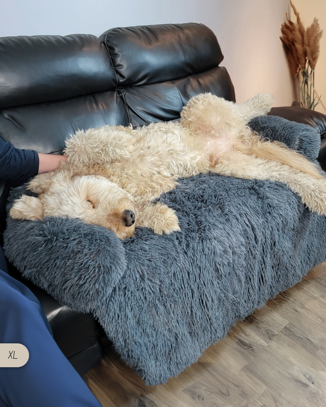 FLUFFY - Protecteur De Meubles Apaisant Déhoussable